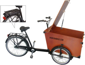Babboe Transporter