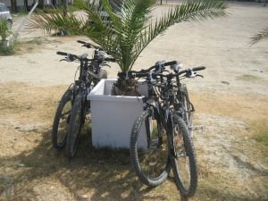 fietsen op kos