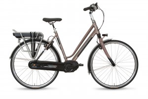Gazelle elektrische fietsen-Ultimate Hybrid