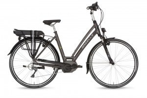 Gazelle elektrische fietsen-Fuente EM