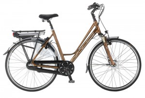Multicycle elektrische fietsen-Expressive