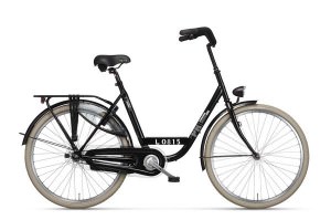 Batavus Personal Bike
