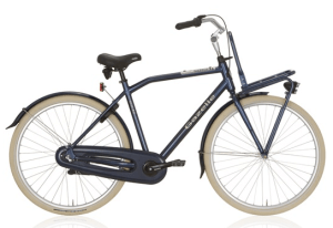 gazelle transportfiets_1