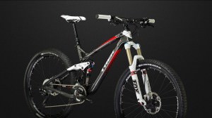 Trek Remedy