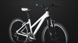 Trek Skye